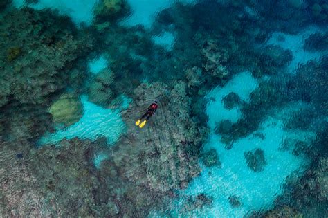 Rolex Debuts Documentary on Marine Conservationists.